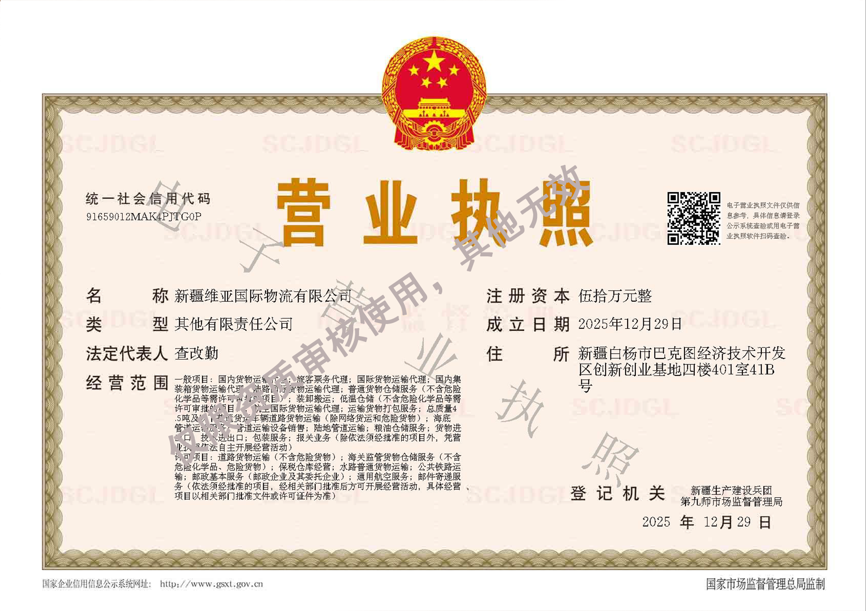 新疆维亚.png